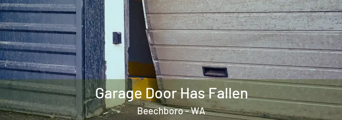  Garage Door Has Fallen Beechboro - WA
