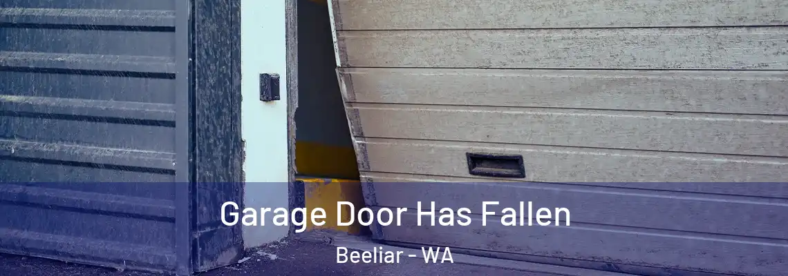  Garage Door Has Fallen Beeliar - WA
