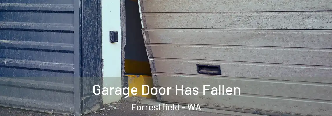  Garage Door Has Fallen Forrestfield - WA