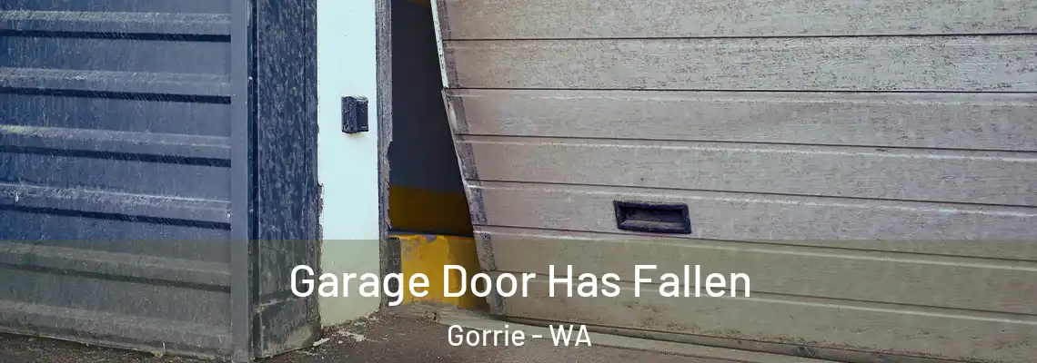  Garage Door Has Fallen Gorrie - WA