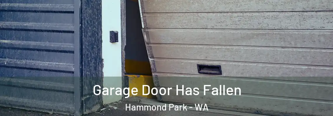  Garage Door Has Fallen Hammond Park - WA