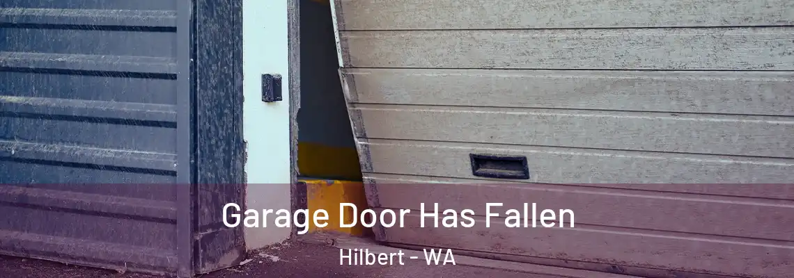  Garage Door Has Fallen Hilbert - WA
