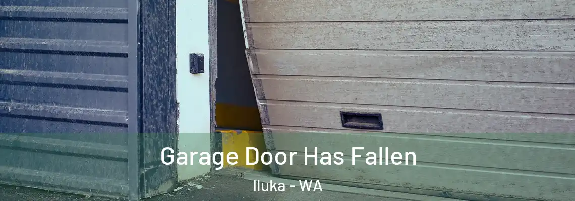  Garage Door Has Fallen Iluka - WA
