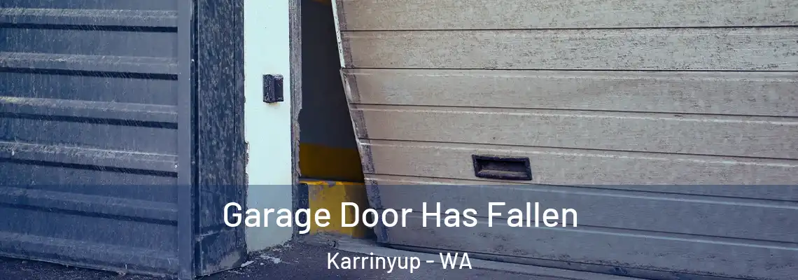  Garage Door Has Fallen Karrinyup - WA
