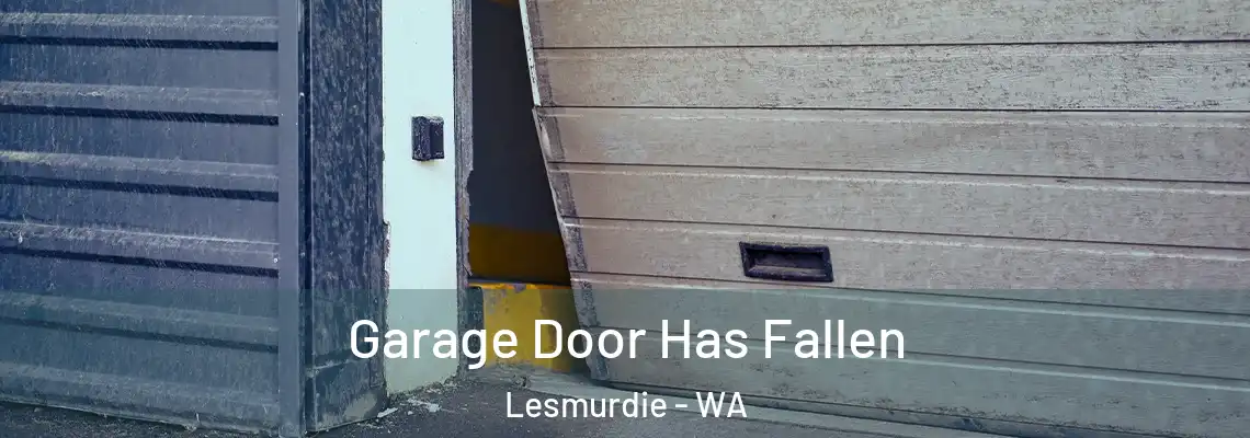  Garage Door Has Fallen Lesmurdie - WA