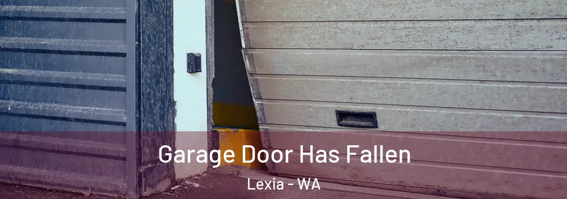  Garage Door Has Fallen Lexia - WA