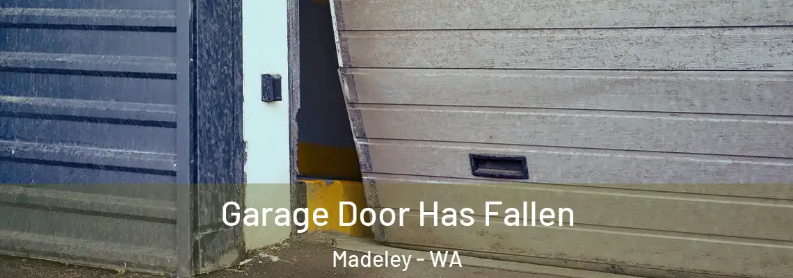 Garage Door Has Fallen Madeley - WA