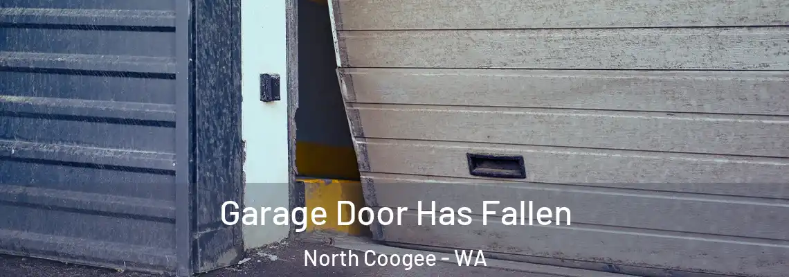 Garage Door Has Fallen North Coogee - WA