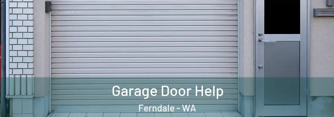  Garage Door Help Ferndale - WA