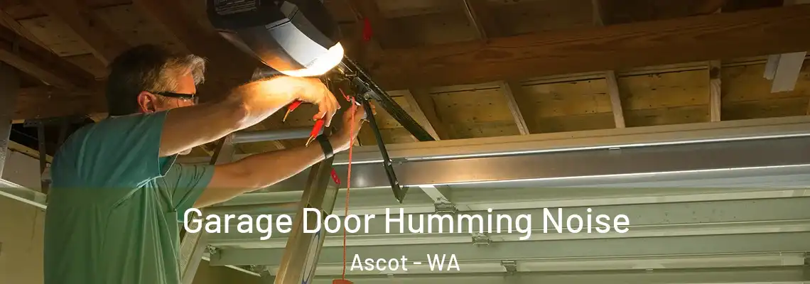  Garage Door Humming Noise Ascot - WA