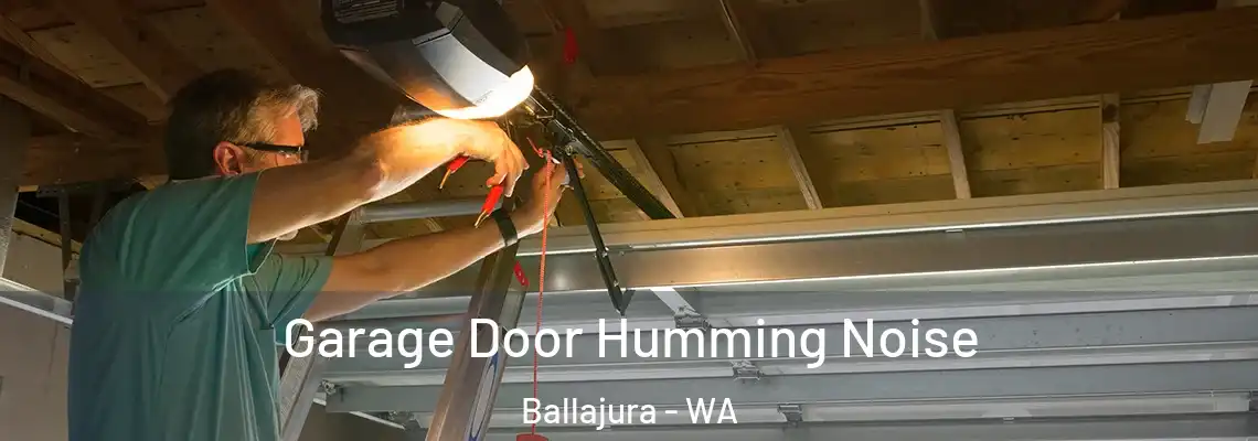  Garage Door Humming Noise Ballajura - WA