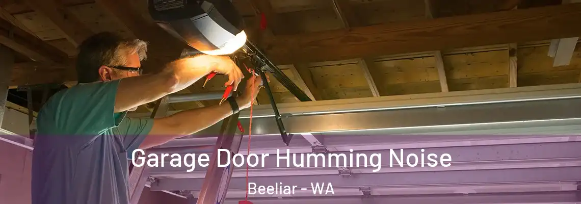  Garage Door Humming Noise Beeliar - WA