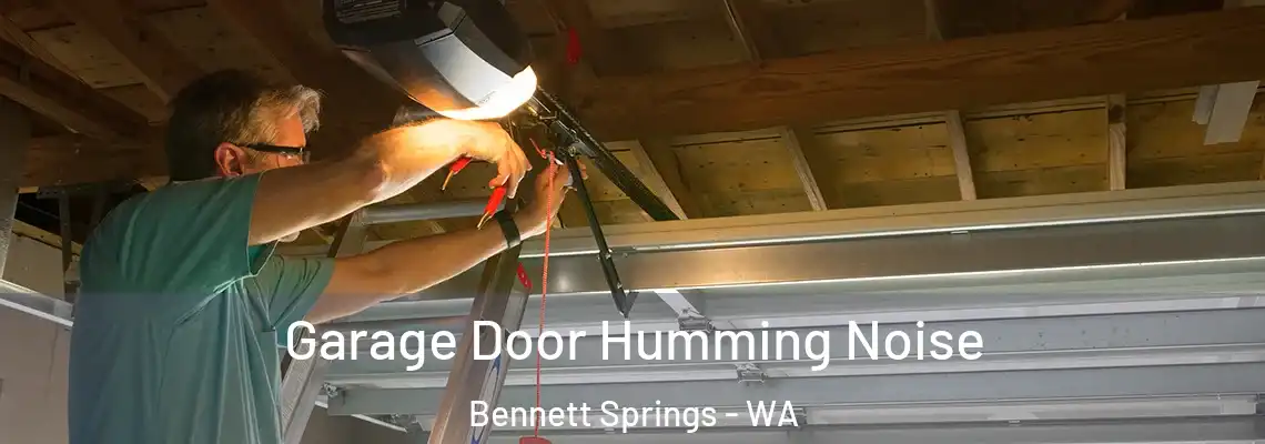  Garage Door Humming Noise Bennett Springs - WA
