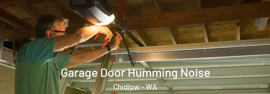  Garage Door Humming Noise Chidlow - WA
