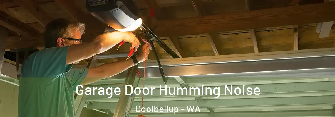  Garage Door Humming Noise Coolbellup - WA