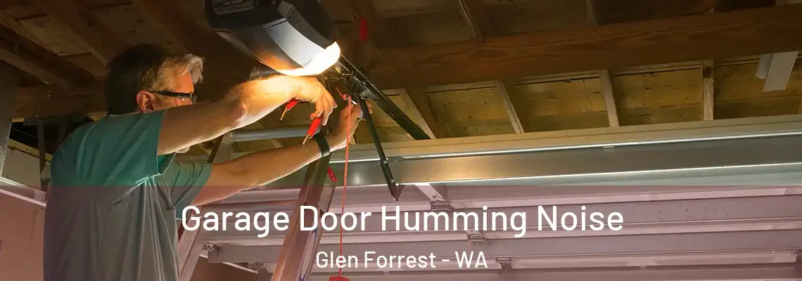  Garage Door Humming Noise Glen Forrest - WA