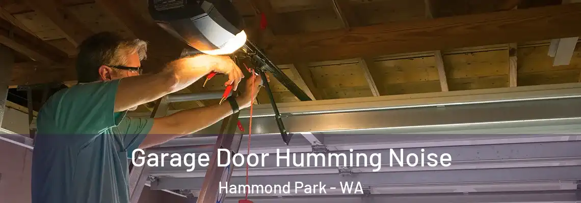 Garage Door Humming Noise Hammond Park - WA