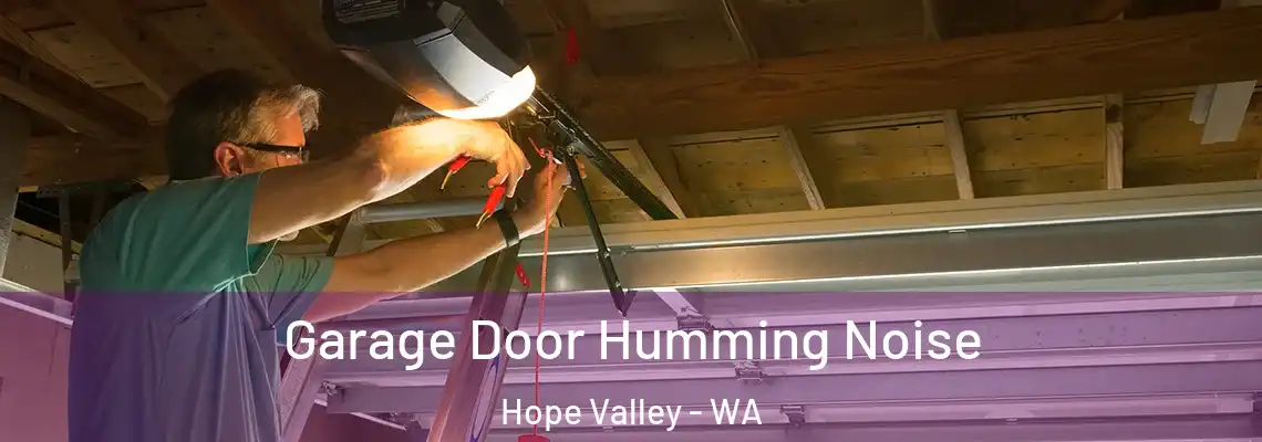  Garage Door Humming Noise Hope Valley - WA