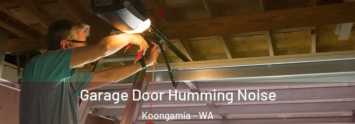  Garage Door Humming Noise Koongamia - WA