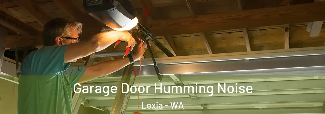 Garage Door Humming Noise Lexia - WA
