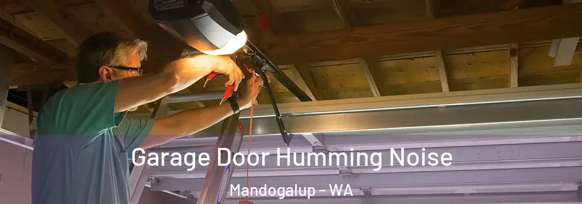  Garage Door Humming Noise Mandogalup - WA