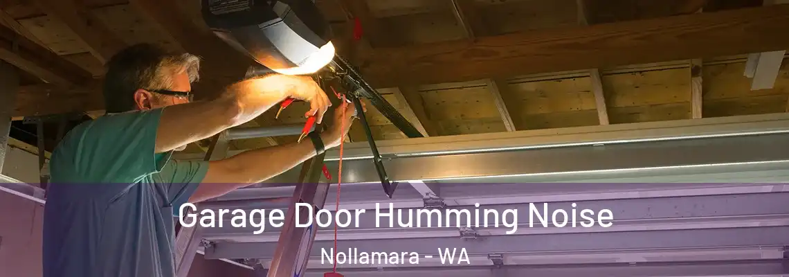  Garage Door Humming Noise Nollamara - WA