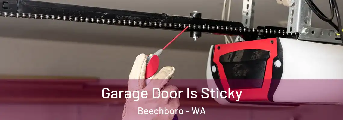  Garage Door Is Sticky Beechboro - WA