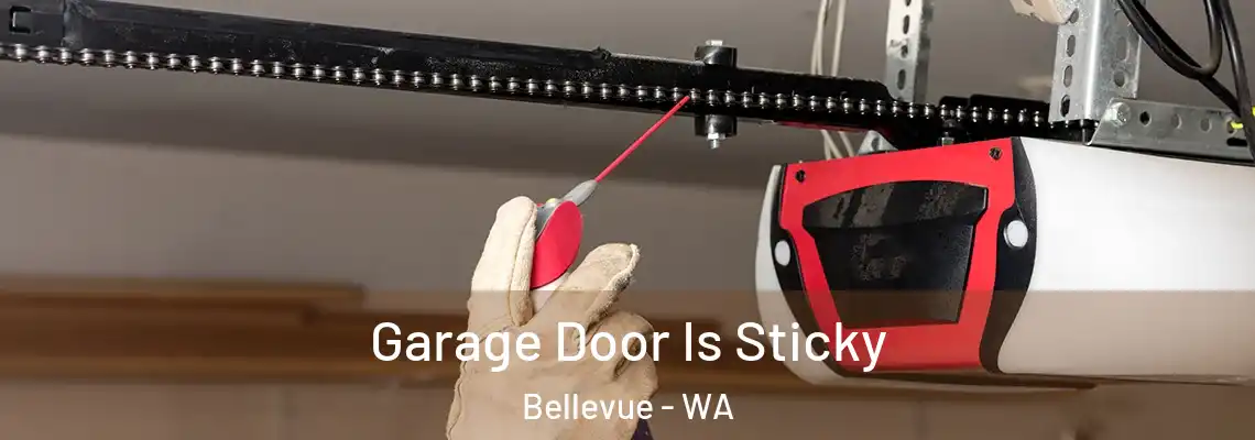  Garage Door Is Sticky Bellevue - WA