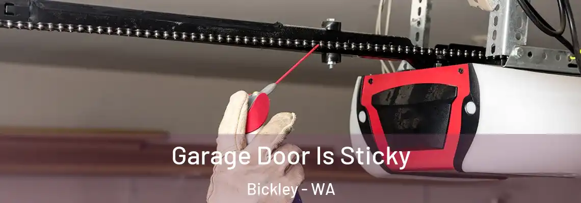  Garage Door Is Sticky Bickley - WA