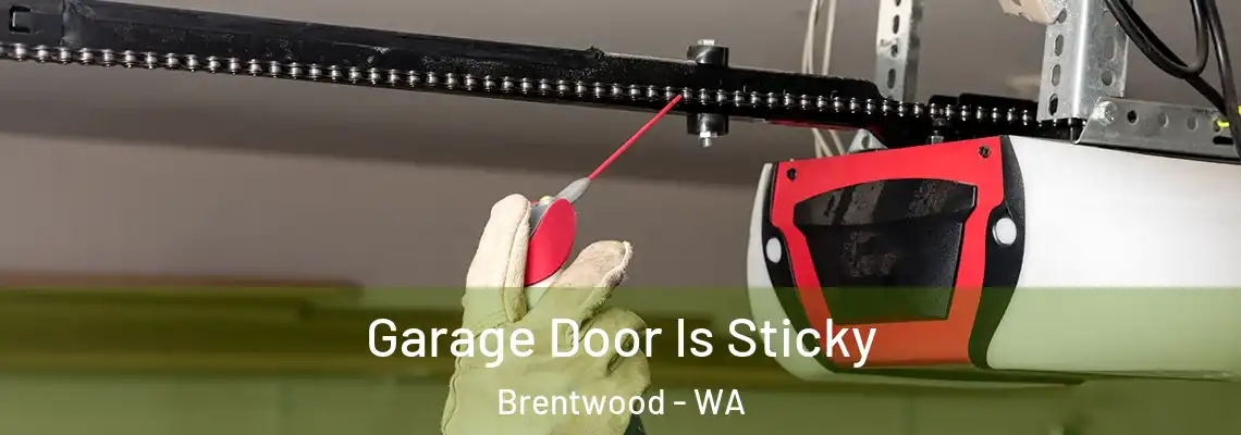  Garage Door Is Sticky Brentwood - WA