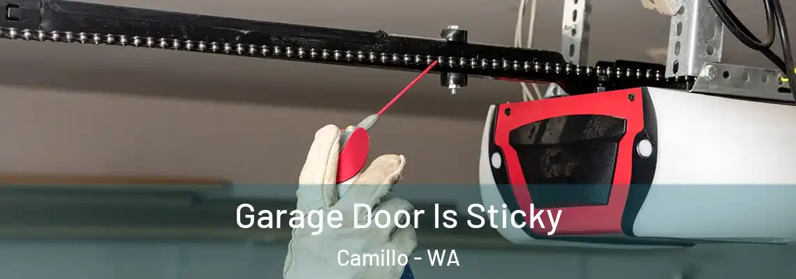  Garage Door Is Sticky Camillo - WA