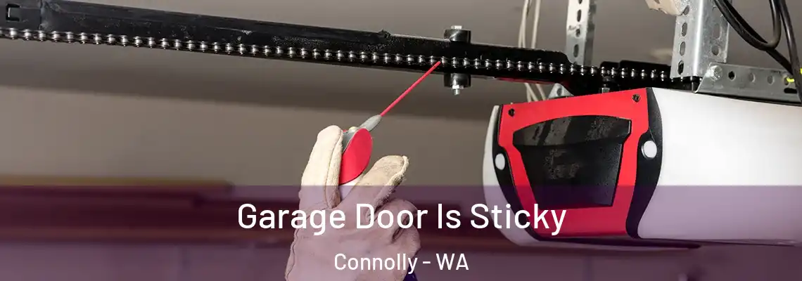  Garage Door Is Sticky Connolly - WA
