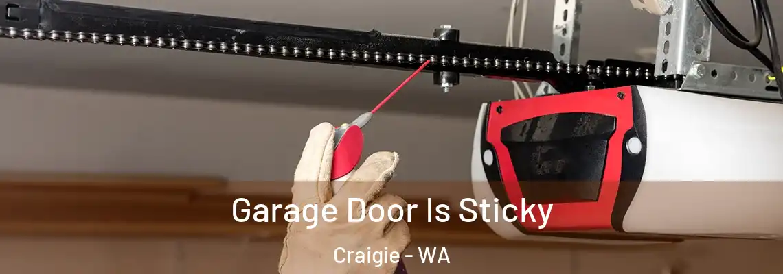 Garage Door Is Sticky Craigie - WA