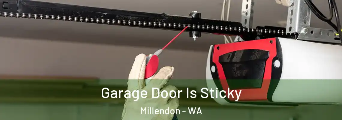  Garage Door Is Sticky Millendon - WA