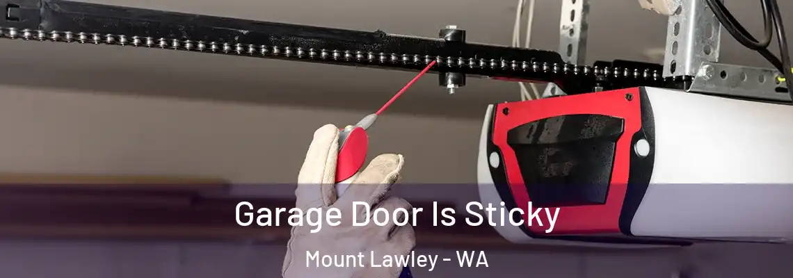  Garage Door Is Sticky Mount Lawley - WA