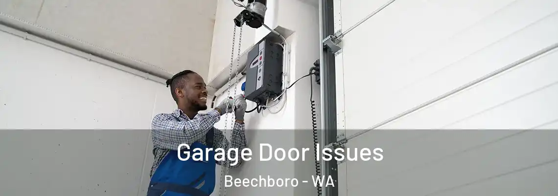  Garage Door Issues Beechboro - WA