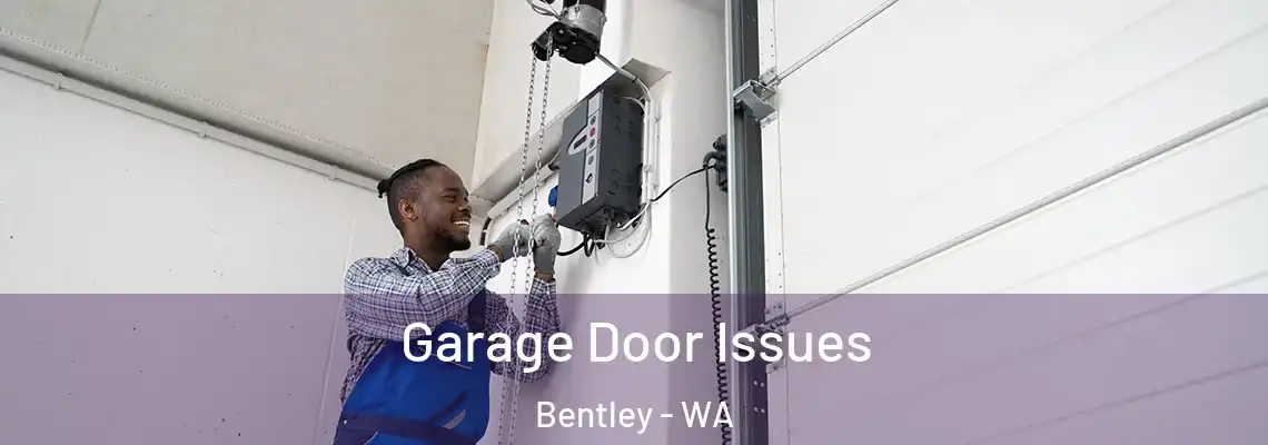  Garage Door Issues Bentley - WA