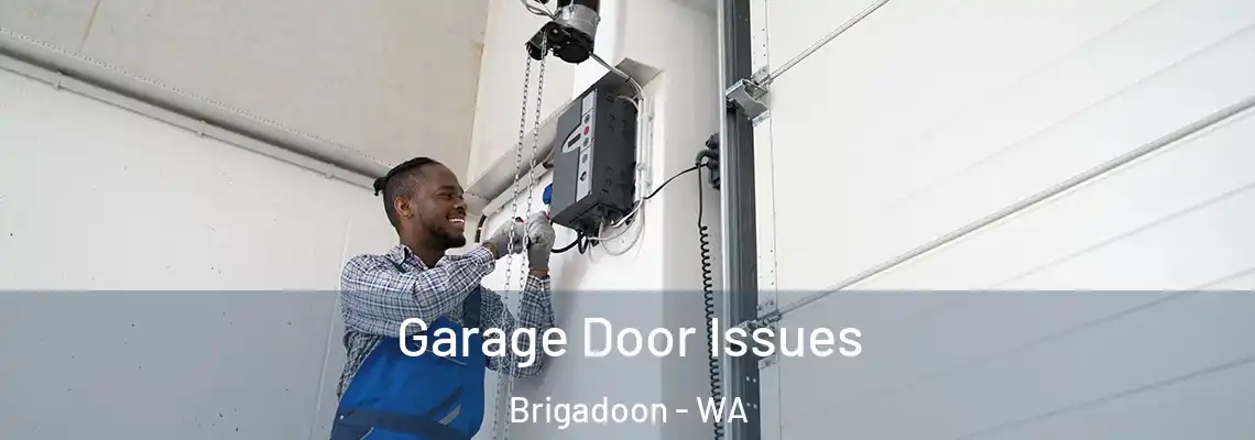  Garage Door Issues Brigadoon - WA