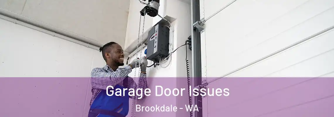  Garage Door Issues Brookdale - WA