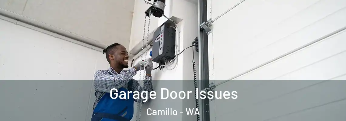  Garage Door Issues Camillo - WA