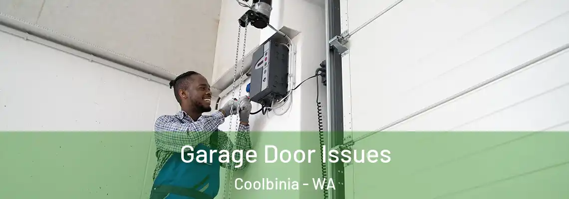  Garage Door Issues Coolbinia - WA