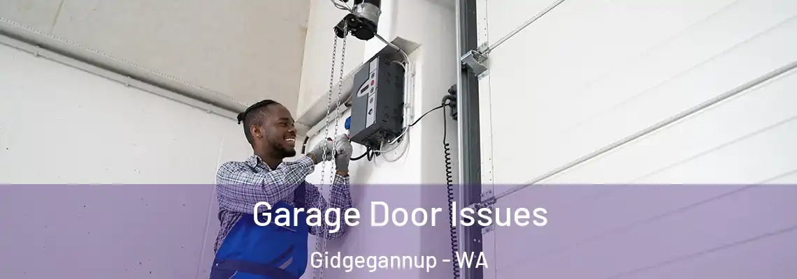Garage Door Issues Gidgegannup - WA