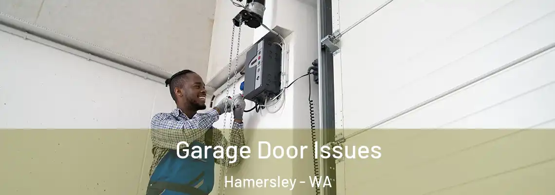  Garage Door Issues Hamersley - WA