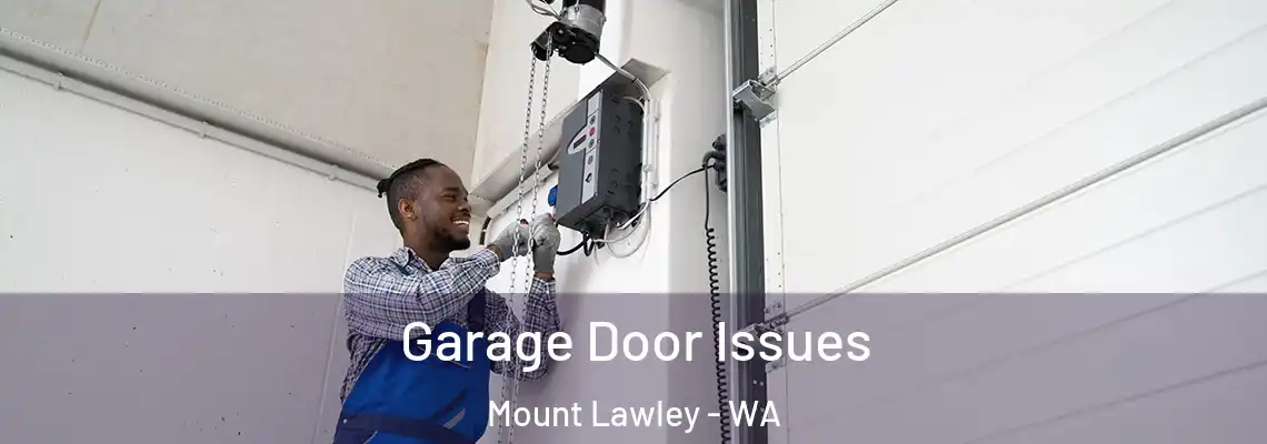  Garage Door Issues Mount Lawley - WA