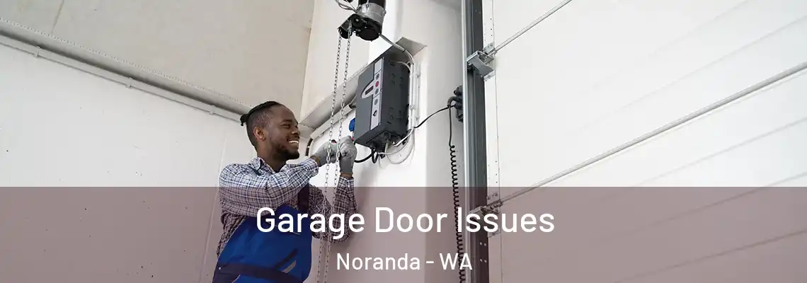  Garage Door Issues Noranda - WA
