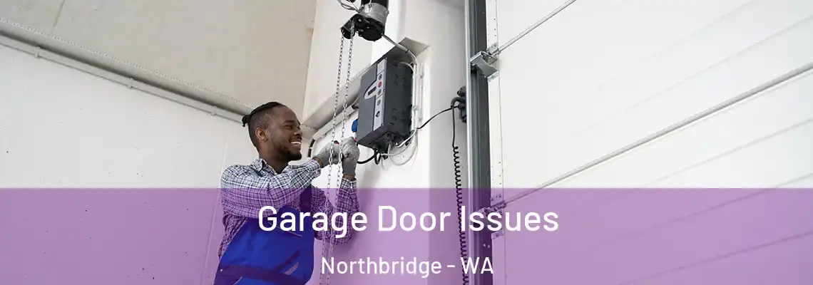  Garage Door Issues Northbridge - WA