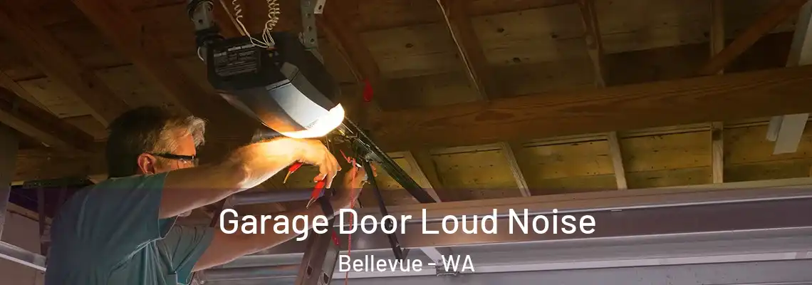  Garage Door Loud Noise Bellevue - WA