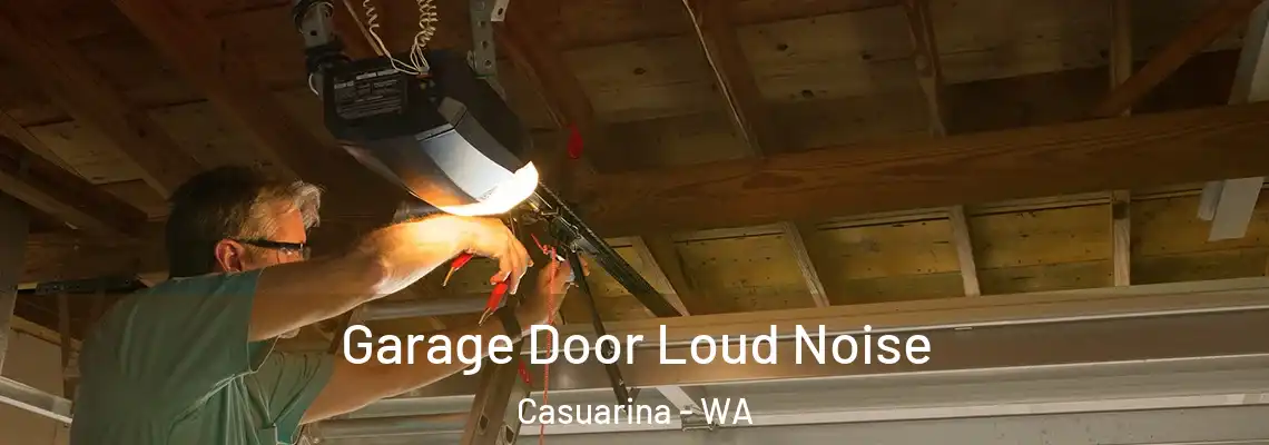  Garage Door Loud Noise Casuarina - WA