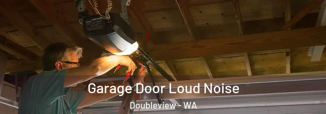  Garage Door Loud Noise Doubleview - WA