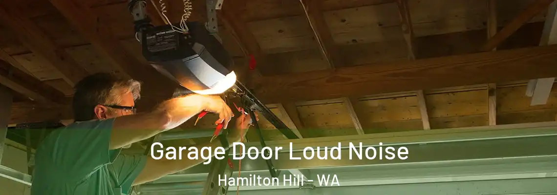  Garage Door Loud Noise Hamilton Hill - WA
